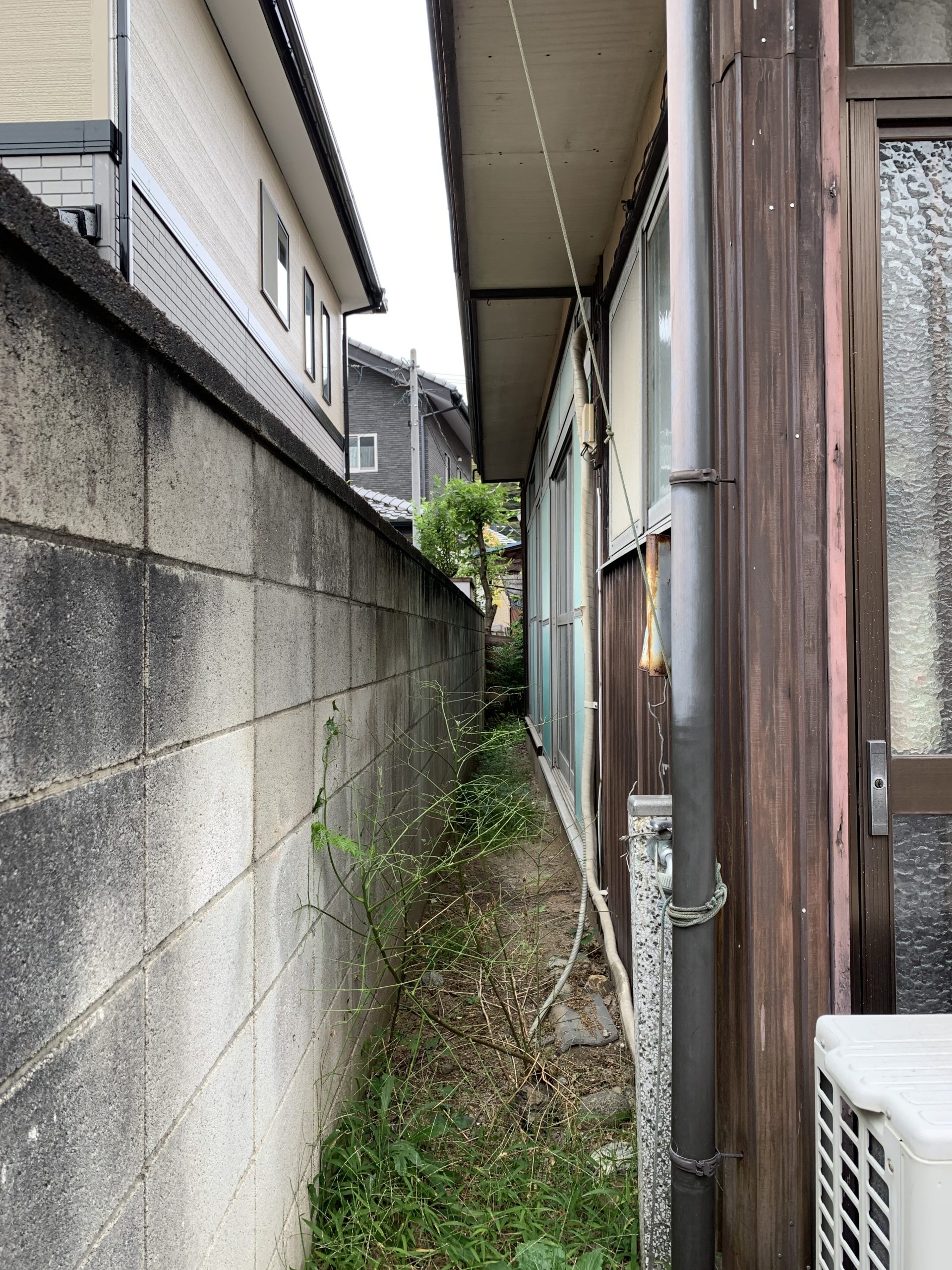 雑草が生い茂った空き家脇の路地