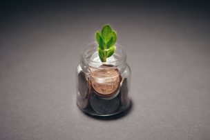コインの入った瓶から芽を出す植物